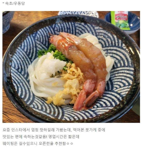 내돈내산 강원도 맛집 모음