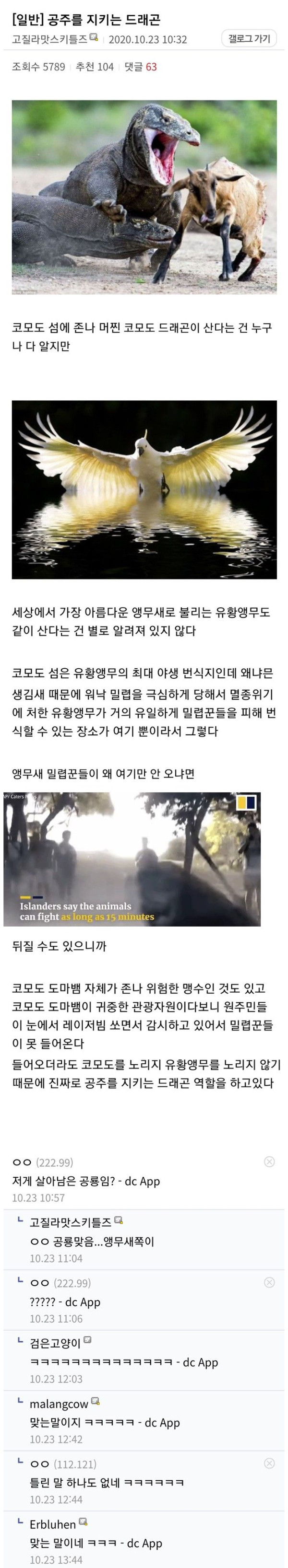 현실에 있는 공주를 지키는 드래곤