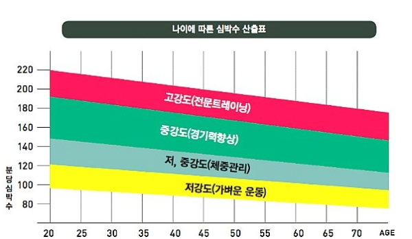 양궁 심박수로 밝혀진 김우진 선수의 압도적인 멘탈관리